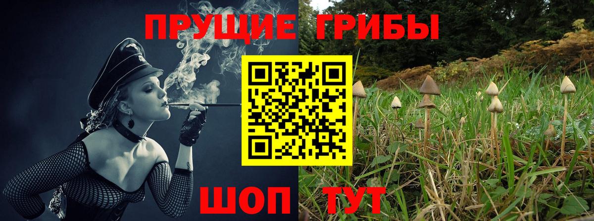 Псилоцибиновые грибы Psilocybine cubensis  Вход с VPN  Урус-Мартан 